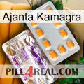 Ajanta Kamagra new12